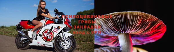ешки Богородск
