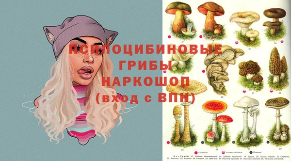 МДМА Богородицк