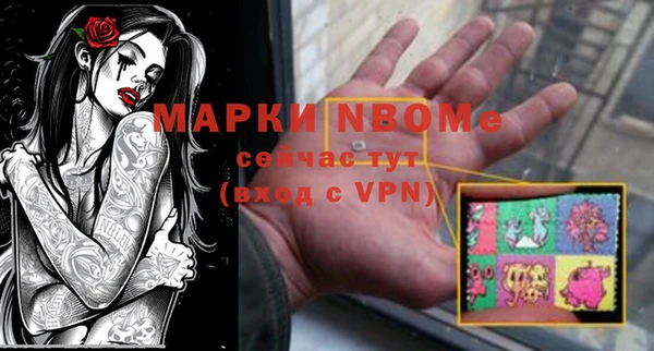стаф Белокуриха